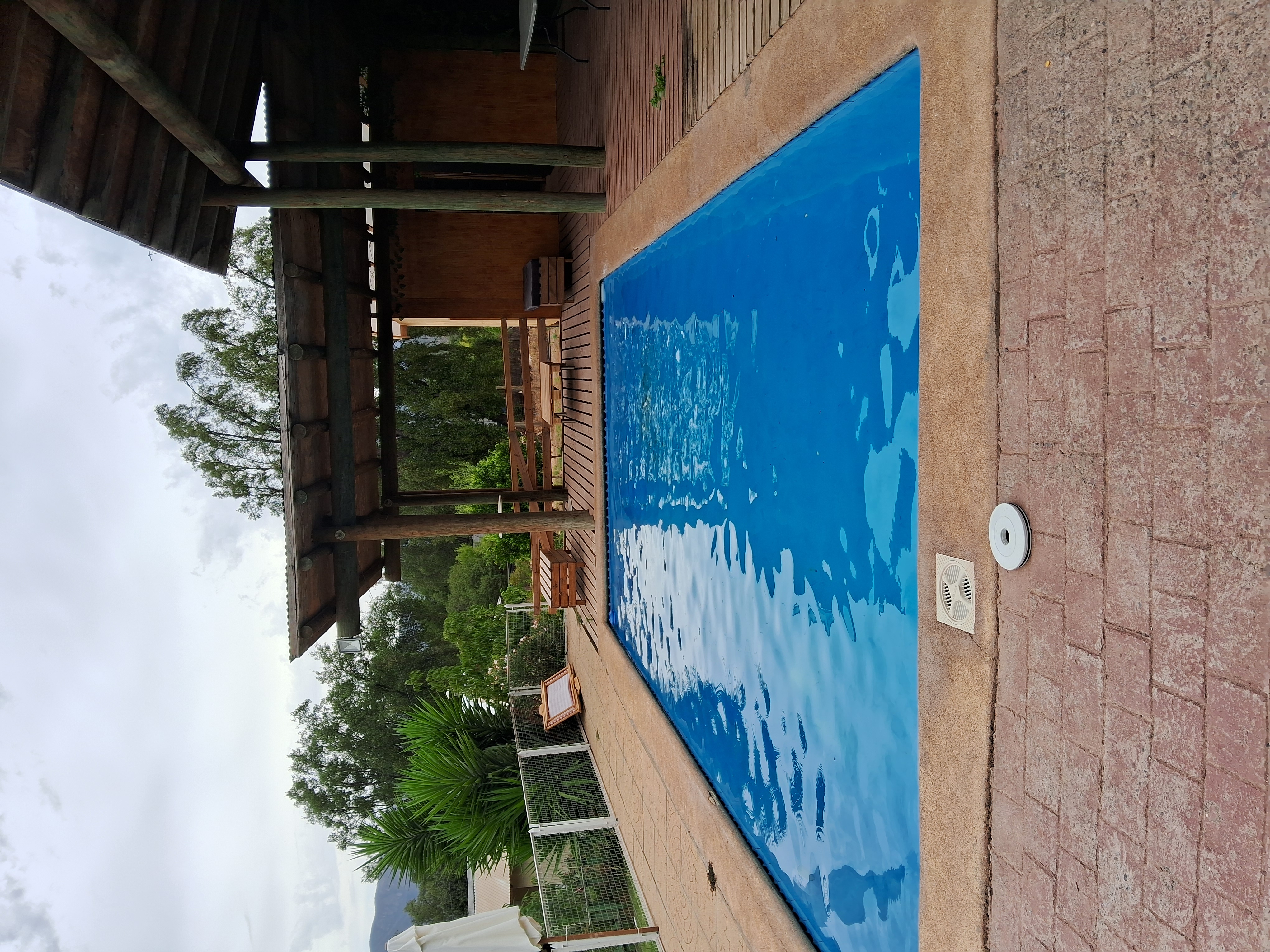 Piscina con pérgola y naturaleza
